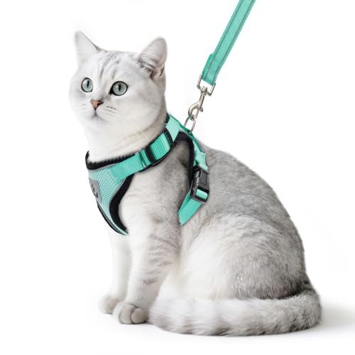PUPTECK Katzengeschirr und Leine Set Fluchtbeweis Reflektierendes Katzengeschirr Einstellbare Weiche Atmungsaktive Mesh-Weste f¨¹r kleine Haustiere, Aquamarin, S von PUPTECK