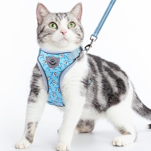PUPTECK Katzengeschirr und Leine Set Fluchtbeweis Reflektierendes Katzengeschirr Einstellbare Weiche Atmungsaktive Netzweste f¨¹r kleine Haustiere, Blaue Haie, S von PUPTECK