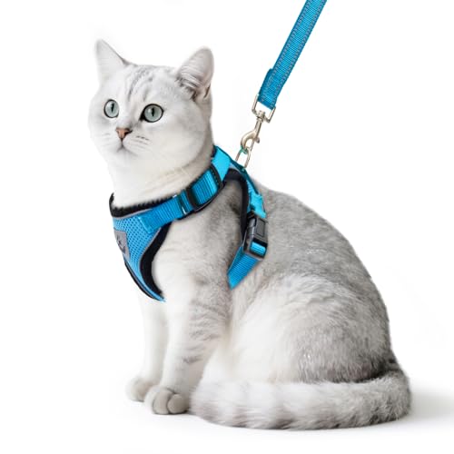 PUPTECK Katzengeschirr und Leine Set Fluchtfestes Reflektierendes Katzengeschirr Einstellbare weiche atmungsaktive Netzweste f¨¹r kleine Haustiere, Blau, M PUPTECK Katzengeschirr und Leine Set Fluchtfestes Reflektierendes Katzengeschirr Einstellbare weiche atmungsaktive Netzweste f¨¹r kleine Haustiere, Blau, M von PUPTECK