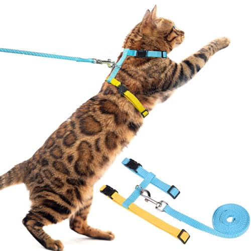 PUPTECK Verstellbares Katzengeschirr mit Führleine – Ausbruchssicheres Kitten-Gurtgeschirr in Blau-Gelb PUPTECK Verstellbares Katzengeschirr mit Führleine – Ausbruchssicheres Kitten-Gurtgeschirr in Blau-Gelb von PUPTECK