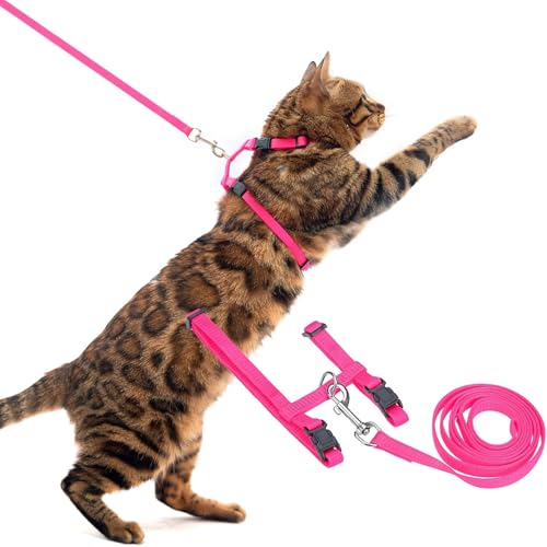 PUPTECK Verstellbares Katzengeschirr mit Leine, Set mit fluchtsicherem K?tzchenhalsband f¨¹r Spazierg?nge, Hot Pink, M PUPTECK Verstellbares Katzengeschirr mit Leine, Set mit fluchtsicherem K?tzchenhalsband f¨¹r Spazierg?nge, Hot Pink, M von PUPTECK