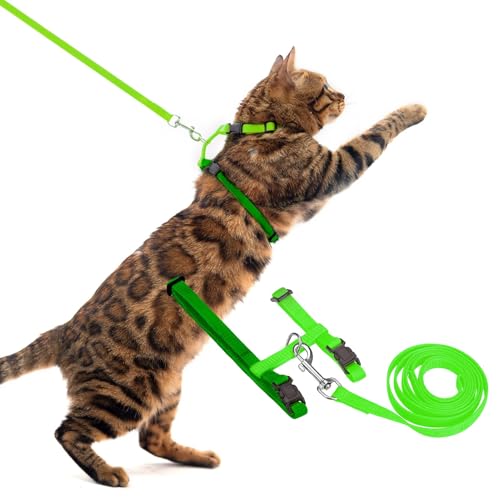 PUPTECK Verstellbares Katzengeschirr mit Leine, Set mit fluchtsicherem K?tzchenhalsband f¨¹r Spazierg?nge, gr¨¹n, M PUPTECK Verstellbares Katzengeschirr mit Leine, Set mit fluchtsicherem K?tzchenhalsband f¨¹r Spazierg?nge, gr¨¹n, M von PUPTECK