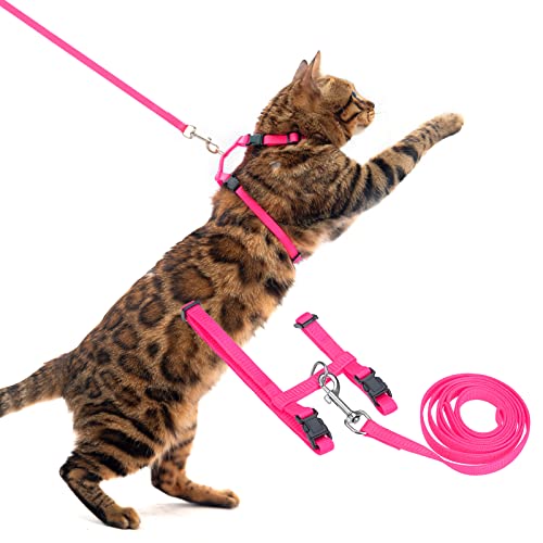 PUPTECK Verstellbares Katzengeschirr mit Leine, Set mit fluchtsicherem K?tzchenhalsband f¨¹r Spazierg?nge, rosa von PUPTECK
