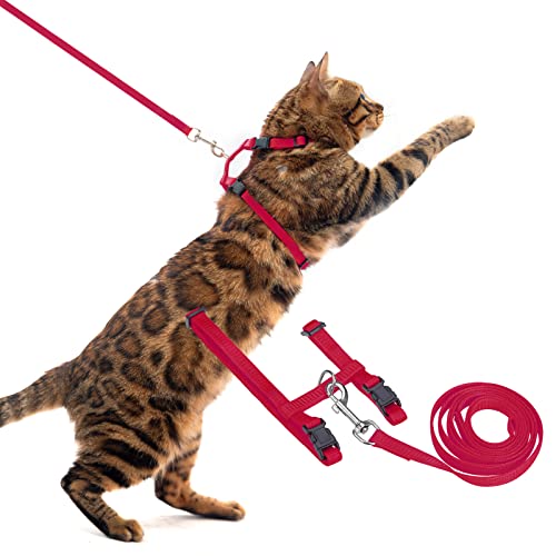 PUPTECK Verstellbares Katzengeschirr mit Leine Set Fluchtfestes K?tzchenhalsband f¨¹r Spazierg?nge, Rot PUPTECK Verstellbares Katzengeschirr mit Leine Set Fluchtfestes K?tzchenhalsband f¨¹r Spazierg?nge, Rot von PUPTECK