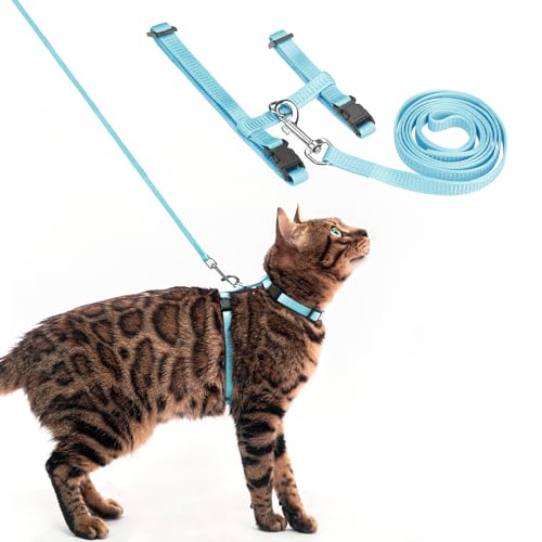PUPTECK Verstellbares Katzengeschirr mit Leine - ausbruchsicheres Kätzchen-Gurtgeschirr für Spaziergänge und Reisen, Himmelblau PUPTECK Verstellbares Katzengeschirr mit Leine - ausbruchsicheres Kätzchen-Gurtgeschirr für Spaziergänge und Reisen, Himmelblau von PUPTECK