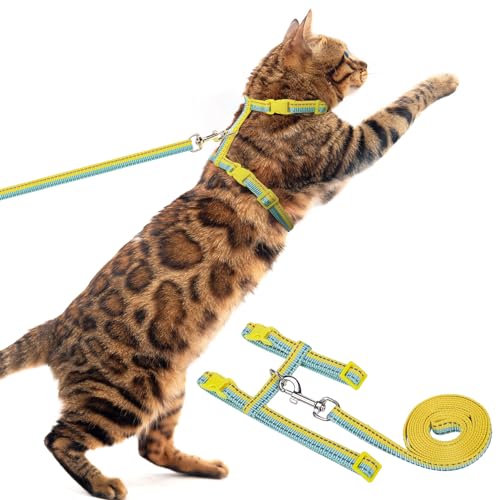 PUPTECK Verstellbares Katzengeschirr mit Leinen-Set – Ausbruchsicheres Kätzchen-Gurtgeschirr für Spaziergänge und Reisen, Gelb-Blau PUPTECK Verstellbares Katzengeschirr mit Leinen-Set – Ausbruchsicheres Kätzchen-Gurtgeschirr für Spaziergänge und Reisen, Gelb-Blau von PUPTECK
