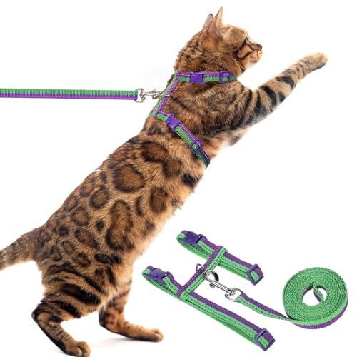 PUPTECK Verstellbares Katzengeschirr mit Leinen-Set – Ausbruchsicheres Kitten-Gurtgeschirr für Spaziergänge & Reisen, Lila-Grün PUPTECK Verstellbares Katzengeschirr mit Leinen-Set – Ausbruchsicheres Kitten-Gurtgeschirr für Spaziergänge & Reisen, Lila-Grün von PUPTECK