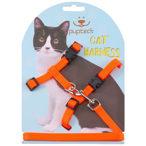 PUPTECK Verstellbares Katzengeschirr mit Leinen-Set – Ausbruchsicheres Kitten-Gurtgeschirr für Spaziergänge & Reisen, Orange, Größe M PUPTECK Verstellbares Katzengeschirr mit Leinen-Set – Ausbruchsicheres Kitten-Gurtgeschirr für Spaziergänge & Reisen, Orange, Größe M von PUPTECK
