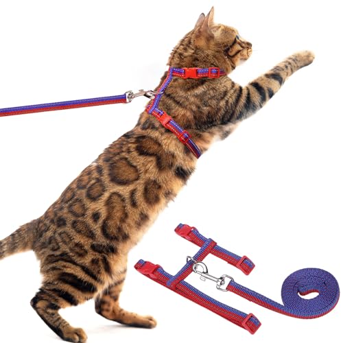 PUPTECK Verstellbares Katzengeschirr mit Leinen-Set - Ausbruchsicheres Kitten-Gurtgeschirr für Spaziergänge und Reisen, Rot-Blau PUPTECK Verstellbares Katzengeschirr mit Leinen-Set - Ausbruchsicheres Kitten-Gurtgeschirr für Spaziergänge und Reisen, Rot-Blau von PUPTECK