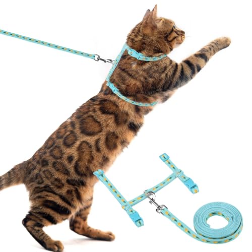 PUPTECK Verstellbares Katzengeschirr und Leine Set Fluchtbest?ndiges K?tzchen-Riemenhalsband f¨¹r Spazierg?nge, Ananas PUPTECK Verstellbares Katzengeschirr und Leine Set Fluchtbest?ndiges K?tzchen-Riemenhalsband f¨¹r Spazierg?nge, Ananas von PUPTECK