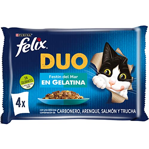 Felix Duo, Nassfutter für ausgewachsene Katzen, Gelee, Sortiment, Köhler, Hering, Lachs und Forelle, 12 Packungen mit 4 Beuteln à 85 g (48 Umschläge) von Felix