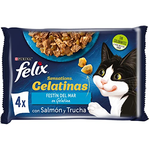 Felix Sensations Nassfutter für ausgewachsene Katzen, Gelee, Sortiment mit Lachs und Forellen, 12 Packungen mit 4 Beuteln à 85 g (48 Umschläge) von Felix