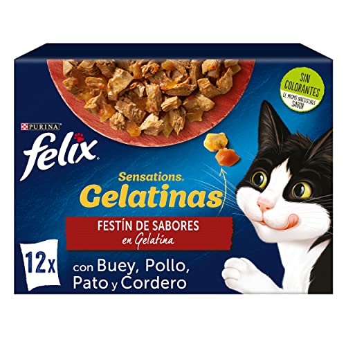 Felix Sensations Nassfutter für ausgewachsene Katzen, Gelee, Sortiment aus Ochse, Huhn, Ente und Lamm, 6 Packungen mit 12 Beuteln à 85 g (72 Beutel) von Felix
