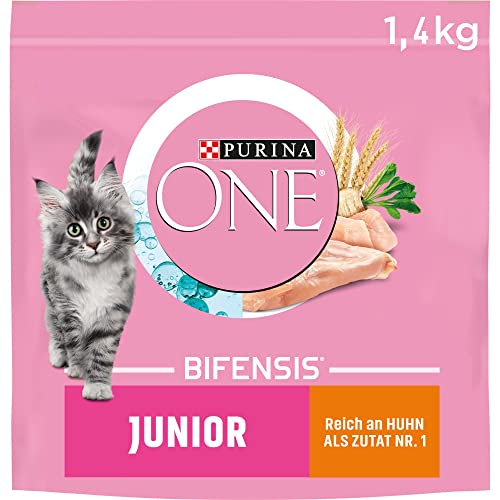PURINA ONE Junior, Reich an Huhn und Vollkorn-Getreide Katzentrockenfutter, 6er Pack (6 x 1500 g) von PURINA ONE