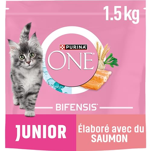 PURINA ONE | BIFENSIS | Kätzchen bis zu 12 Monate und Katzen in der Schwangerschaft | Trockenfutter | hilft bei der gesunden Entwicklung der Vitalfunktionen der Katze | Lachs | Beutel | 1,5 kg von PURINA ONE