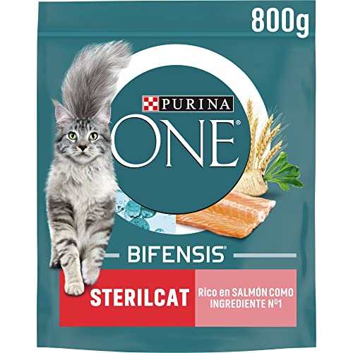 Purina ONE Bifensis Katzenfutter, sterilisiert, für Erwachsene, mit Lachs und Getreide, 8 Beutel à 800 g von PURINA ONE