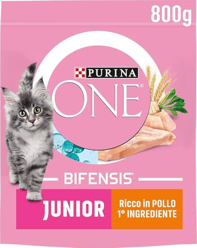 Purina One Bifensis Junior Katzenfutter 1-12 Monate Huhn und Getreide, 8 Packungen mit 800 g Purina One Bifensis Junior Katzenfutter 1-12 Monate Huhn und Getreide, 8 Packungen mit 800 g von PURINA ONE