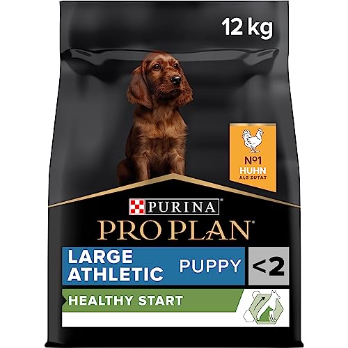Pro Plan Large Athletic Puppy Healthy Start, Welpenfutter trocken, reich an Huhn, 1er Pack (1 x 12 kg) von Pro Plan