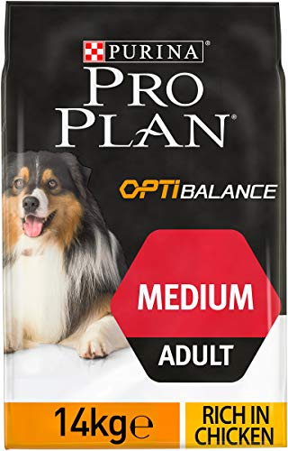 Purina ProPlan Small Balance Hundefutter Erwachsene Huhn 14 kg Purina ProPlan Small Balance Hundefutter Erwachsene Huhn 14 kg von PURINA Pro Plan