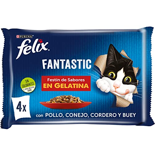 PURINA FELIX Fantastic Festin, Gelatin-Nahrung für Katzen, Verschiedene Fleischsorten, 12 x [4 x 85 g] von PURINA FELIX