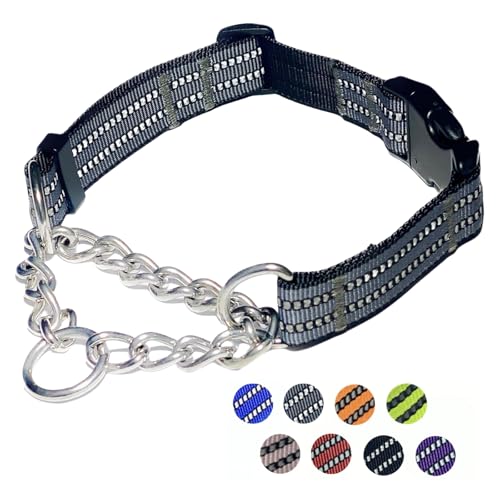 Martingale Hundehalsband, reflektierendes Nylonhalsband mit Edelstahlkette, verstellbares Hundehalsband für Spaziergänge, Training, mit Schnellverschluss-Schnalle, geeignet für kleine, mittelgroße und Martingale Hundehalsband, reflektierendes Nylonhalsband mit Edelstahlkette, verstellbares Hundehalsband für Spaziergänge, Training, mit Schnellverschluss-Schnalle, geeignet für kleine, mittelgroße und von PUROAYET