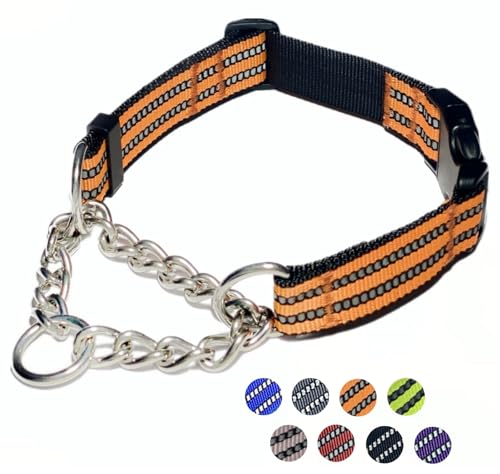 Martingale Hundehalsband, reflektierendes Nylonhalsband mit Edelstahlkette, verstellbares Hundehalsband für Spaziergänge, Training, mit Schnellverschluss-Schnalle, geeignet für kleine, mittelgroße und Martingale Hundehalsband, reflektierendes Nylonhalsband mit Edelstahlkette, verstellbares Hundehalsband für Spaziergänge, Training, mit Schnellverschluss-Schnalle, geeignet für kleine, mittelgroße und von PUROAYET