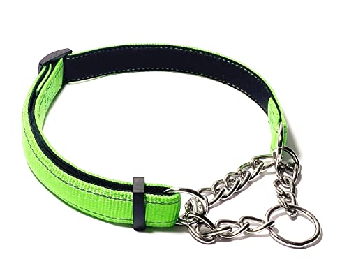 PUROAYET Martingale Halsband für Hunde, reflektierendes Nylon, weich gepolstert, kein Ziehen, verstellbare Halsbänder, Edelstahl-Kette, Halsband für große, mittelgroße und kleine Hunde (Grün, L) PUROAYET Martingale Halsband für Hunde, reflektierendes Nylon, weich gepolstert, kein Ziehen, verstellbare Halsbänder, Edelstahl-Kette, Halsband für große, mittelgroße und kleine Hunde (Grün, L) von PUROAYET