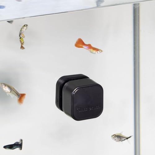PURPLELILY Magnetbürste für Aquarienreinigungen für Zuhause und Büro, Tanks für Glas- und Acryltanks kleine Größe kleines Aquarium-Wartungswerkzeug PURPLELILY Magnetbürste für Aquarienreinigungen für Zuhause und Büro, Tanks für Glas- und Acryltanks kleine Größe kleines Aquarium-Wartungswerkzeug von PURPLELILY