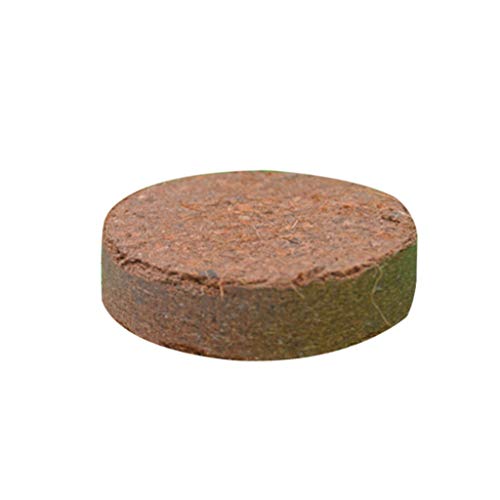 PURPLELILY Naturfaserziegel Erde für Terrarien Fische zur Versorgung PURPLELILY Naturfaserziegel Erde für Terrarien Fische zur Versorgung von PURPLELILY