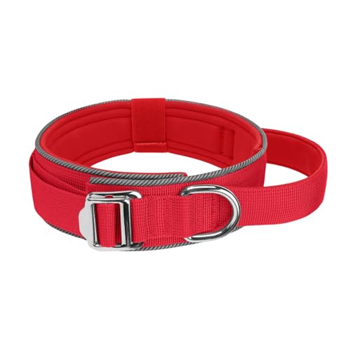 Reflektierendes, verstellbares Hundehalsband für Nachtsicherheit, weich gepolstertes Nylon mit Metallschnalle und Griff, reflektierendes Halsband für kleine/große Hunde Reflektierendes, verstellbares Hundehalsband für Nachtsicherheit, weich gepolstertes Nylon mit Metallschnalle und Griff, reflektierendes Halsband für kleine/große Hunde von PURPLELILY
