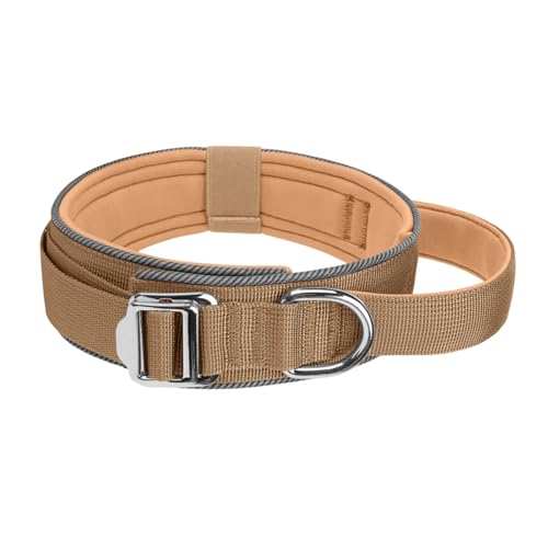 Reflektierendes, verstellbares Hundehalsband für Nachtsicherheit, weich gepolstertes Nylon mit Metallschnalle und Griff, reflektierendes Halsband für kleine/große Hunde Reflektierendes, verstellbares Hundehalsband für Nachtsicherheit, weich gepolstertes Nylon mit Metallschnalle und Griff, reflektierendes Halsband für kleine/große Hunde von PURPLELILY