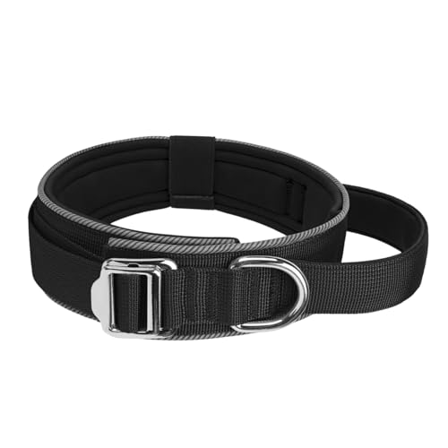 Reflektierendes, verstellbares Hundehalsband für Nachtsicherheit, weich gepolstertes Nylon mit Metallschnalle und Griff, reflektierendes Halsband für kleine/große Hunde Reflektierendes, verstellbares Hundehalsband für Nachtsicherheit, weich gepolstertes Nylon mit Metallschnalle und Griff, reflektierendes Halsband für kleine/große Hunde von PURPLELILY