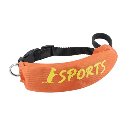 Hundehalsband, automatisch einziehbare Leine for das Training, Laufgürtel for große und kleine Hunde, Seil, automatisch Hundehalsband, automatisch einziehbare Leine for das Training, Laufgürtel for große und kleine Hunde, Seil, automatisch von PUYUNA