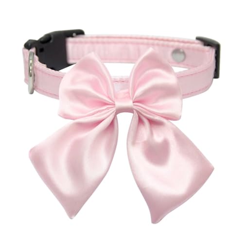 Verstellbares Haustierhalsband for kleine bis große Hunde und Katzen. Hundekettenhalsbänder. Hundetrainings-Halsbekleidung. Täglicher Spaziergang.(3,XS) von PUYUNA