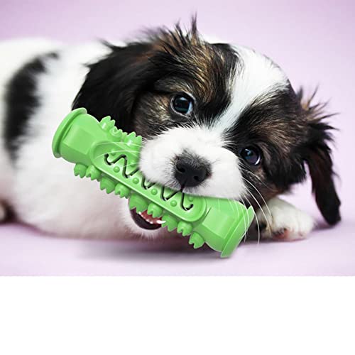 PUYYDS Bissfestes Hunde-Kauspielzeug für große Hunde Saubere Zähne für kleine Hunderassen Gummi-Haustier-Molar-Stick Interaktives kleines Hundespielzeug von PUYYDS