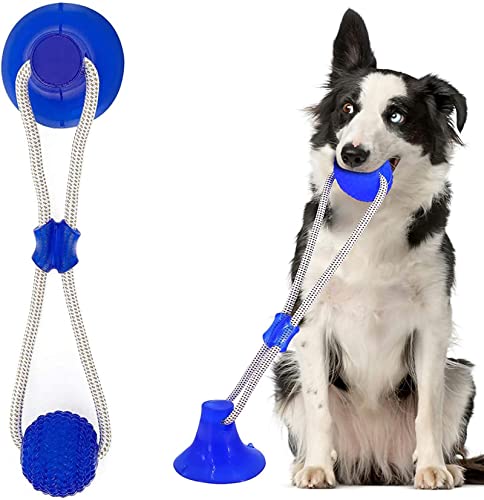 PUYYDS Interaktives Kauspielzeug mit Saugnapf, selbstspielendes Hundespielzeug mit elastischem Seil, Hundezahnreinigung, Kauball, Welpenbedarf von PUYYDS