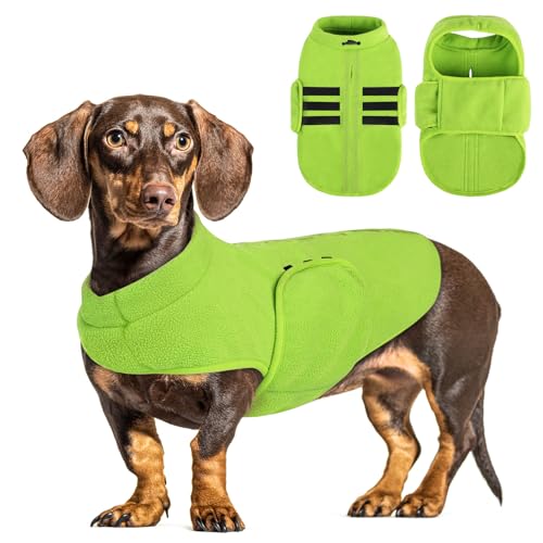 PUZAUKAL Hundepullover Fleece Weste Hundemäntel Winter Warmer Hundeweste für Kleine Hunde Weicher Fleece Hundejacke mit Geschirr Pullover für Mittel Großen Hund Katze-Grün(M) von PUZAUKAL