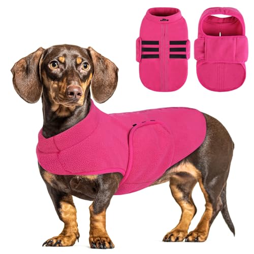PUZAUKAL Hundepullover Fleece Weste Hundemäntel Winter Warmer Hundeweste für Kleine Hunde Weicher Fleece Hundejacke mit Geschirr Pullover für Mittel Großen Hund Katze-Rosa(M) von PUZAUKAL