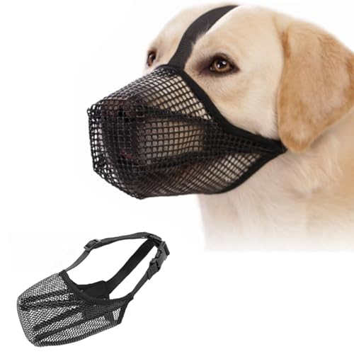 Maulkorb FüR Maulkorb Mittlere Hunde Hund Maulkorb Mittlere Hunde MaulköRbe FüR Hunde Hunde Maulkorb Hundemaulkorb FüR Mittlere Hunde Hund Maulkorb Dog Muzzle Hundemaulkorb(M) Maulkorb FüR Maulkorb Mittlere Hunde Hund Maulkorb Mittlere Hunde MaulköRbe FüR Hunde Hunde Maulkorb Hundemaulkorb FüR Mittlere Hunde Hund Maulkorb Dog Muzzle Hundemaulkorb(M) von PVFZXS