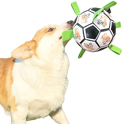PW TOOLS Hundefußball mit Riemen | Lustiger Fußball für Hunde | Hundespielzeug Fußball mit Haltelaschen, Geburtstagsgeschenke für Welpen, geeignet für drinnen, Gras, Schwimmbad, Schnee von PW TOOLS