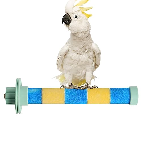 Vogel-Schleifstab | Klauenschleifender Papagei, mattierter Standpfahl,Spielzeug zum Krallenschärfen für Sittiche, Wellensittiche, Turteltauben, mittelgroße Papageien und Nymphensittiche Pw tools von PW TOOLS