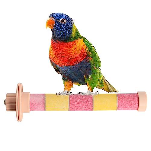 Vogel-Stehstab | Papageienkäfig-Schleifstange | Mehrfarbiges Übungsspielzeug für Sittiche, Wellensittiche, Turteltauben, mittelgroße Papageien und Nymphensittiche Pw tools von PW TOOLS