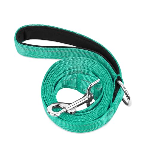 PWOD Doppelseitige, reflektierende Nylon-Hundeleine, 1,2 m, 1,5 m, 1,8 m, weich gepolsterter Griff, robuste Hundeleine mit D-Ring für mittelgroße und große Hunde, Blaugrün, 1,8 m von PWOD