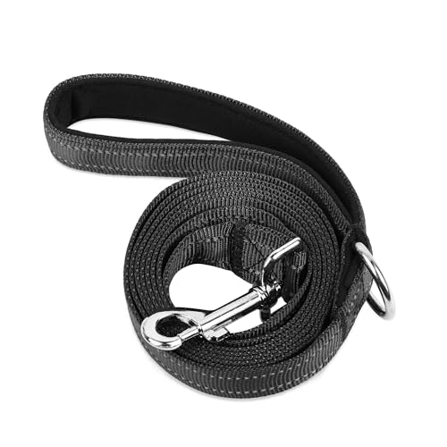 PWOD Doppelseitige, reflektierende Nylon-Hundeleine, 1,8 m, 1,2 m, 1,5 m, weich gepolsterter Griff, robuste Leinen mit D-Ring für mittelgroße und große Hunde, Schwarz PWOD Doppelseitige, reflektierende Nylon-Hundeleine, 1,8 m, 1,2 m, 1,5 m, weich gepolsterter Griff, robuste Leinen mit D-Ring für mittelgroße und große Hunde, Schwarz von PWOD