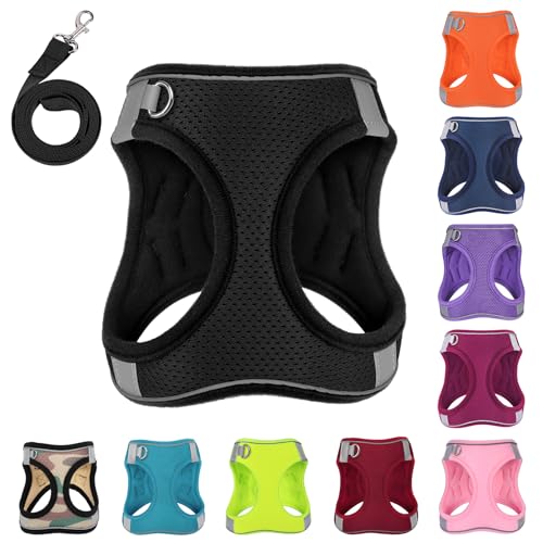 PWOD Hundegeschirr mit Leine, kein Ziehen, reflektierend, mit 1 Leinenclip, verstellbar, weich gepolstert, für einfachere Spaziergänge, für kleine, mittelgroße und große Hunde, Katzen (Carbon-Schwarz, PWOD Hundegeschirr mit Leine, kein Ziehen, reflektierend, mit 1 Leinenclip, verstellbar, weich gepolstert, für einfachere Spaziergänge, für kleine, mittelgroße und große Hunde, Katzen (Carbon-Schwarz, von PWOD