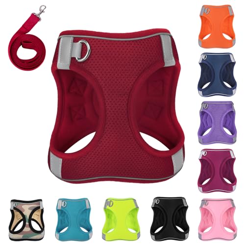 PWOD Hundegeschirr mit Leine, kein Ziehen, reflektierend, mit 1 Leinenclip, verstellbar, weich gepolstert, für einfachere Spaziergänge, für kleine, mittelgroße und große Hunde, Katzen (Hellrot, Größe PWOD Hundegeschirr mit Leine, kein Ziehen, reflektierend, mit 1 Leinenclip, verstellbar, weich gepolstert, für einfachere Spaziergänge, für kleine, mittelgroße und große Hunde, Katzen (Hellrot, Größe von PWOD