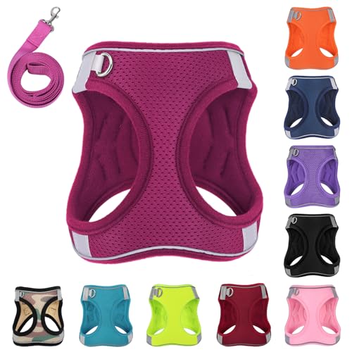PWOD Hundegeschirr mit Leine, kein Ziehen, reflektierend, mit 1 Leinenclip, verstellbar, weich gepolstert, für einfachere Spaziergänge, für kleine, mittelgroße und große Hunde, Katzen (Rosarot, Größe PWOD Hundegeschirr mit Leine, kein Ziehen, reflektierend, mit 1 Leinenclip, verstellbar, weich gepolstert, für einfachere Spaziergänge, für kleine, mittelgroße und große Hunde, Katzen (Rosarot, Größe von PWOD