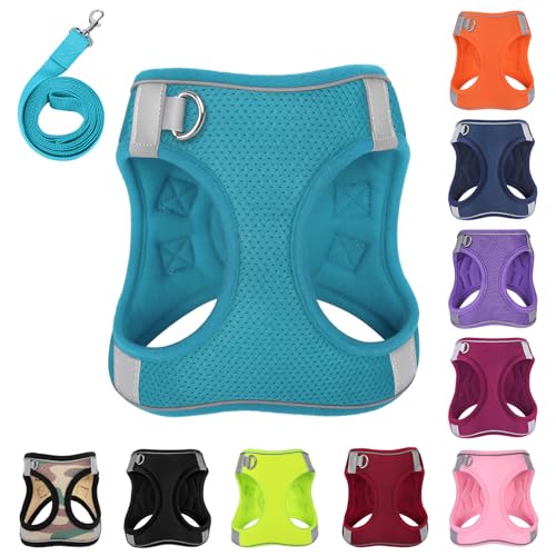 PWOD Hundegeschirr mit Leine, kein Ziehen, reflektierend, mit 1 Leinenclip, verstellbar, weich gepolstert, für einfachere Spaziergänge, für kleine, mittelgroße und große Hunde, Katzen (Blaugrün, XXS PWOD Hundegeschirr mit Leine, kein Ziehen, reflektierend, mit 1 Leinenclip, verstellbar, weich gepolstert, für einfachere Spaziergänge, für kleine, mittelgroße und große Hunde, Katzen (Blaugrün, XXS von PWOD