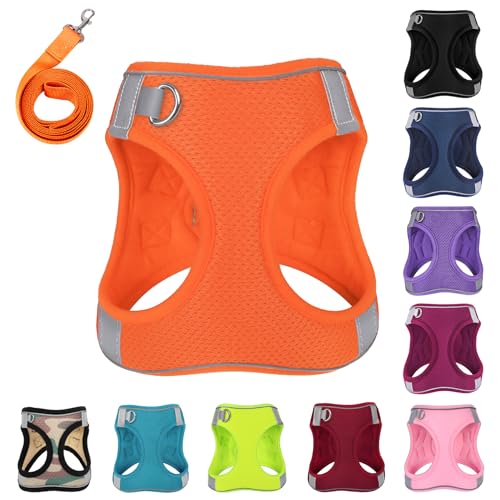 PWOD Hundegeschirr mit Leine, kein Ziehen, reflektierend, mit 1 Leinenclip, verstellbar, weich gepolstert, für einfachere Spaziergänge, für kleine, mittelgroße und große Hunde, Katzen (Hellorange, PWOD Hundegeschirr mit Leine, kein Ziehen, reflektierend, mit 1 Leinenclip, verstellbar, weich gepolstert, für einfachere Spaziergänge, für kleine, mittelgroße und große Hunde, Katzen (Hellorange, von PWOD