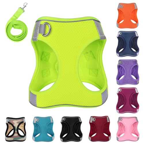 PWOD Hundegeschirr mit Leine, kein Ziehen, reflektierend, mit 1 Leinenclip, verstellbar, weich gepolstert, leicht zu gehen, für kleine, mittelgroße und große Hunde, Katzen (fluoreszierend, Größe XXXS) PWOD Hundegeschirr mit Leine, kein Ziehen, reflektierend, mit 1 Leinenclip, verstellbar, weich gepolstert, leicht zu gehen, für kleine, mittelgroße und große Hunde, Katzen (fluoreszierend, Größe XXXS) von PWOD